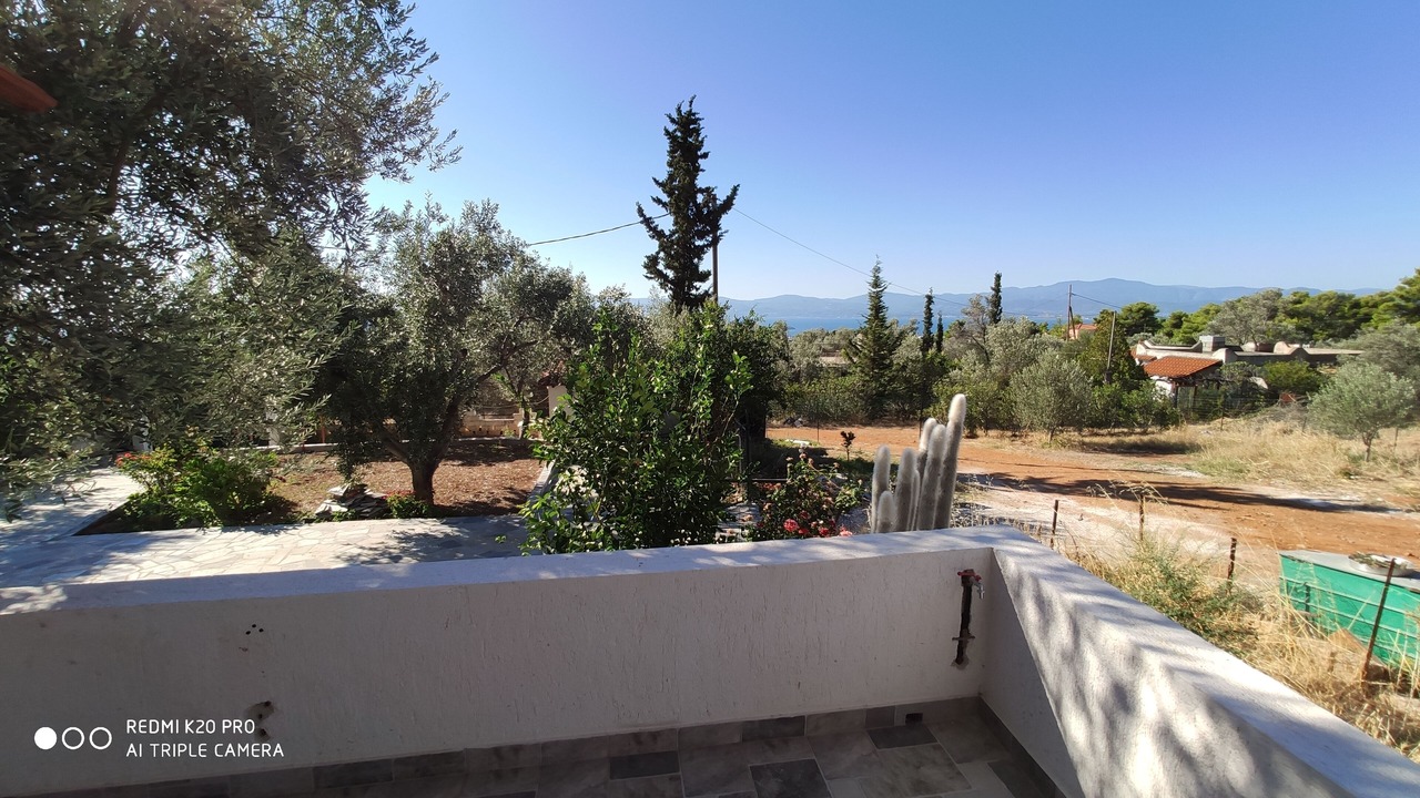 Photo of Outdoor in Eretria