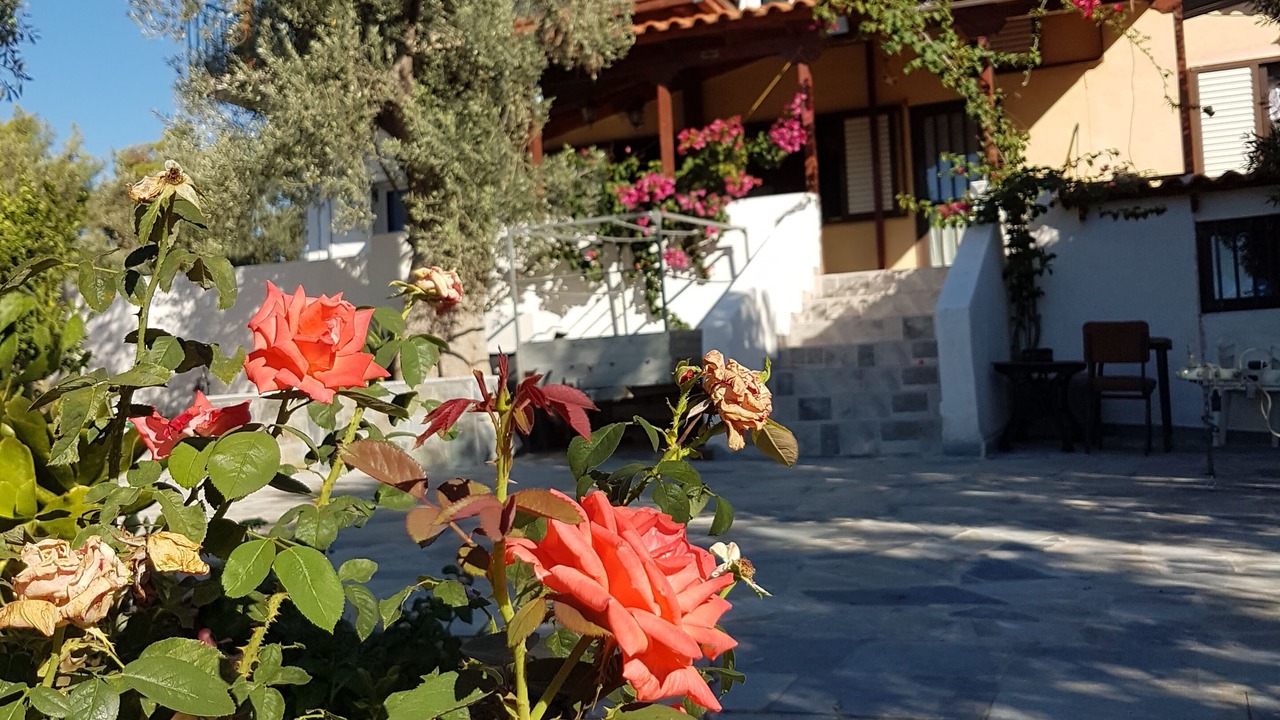 Photo of Outdoor in Eretria