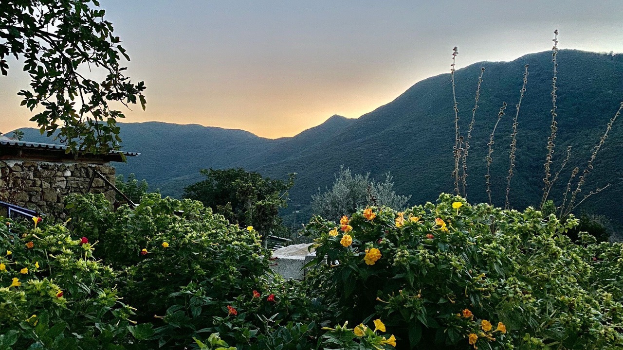Photo of Outdoor in Agrilos