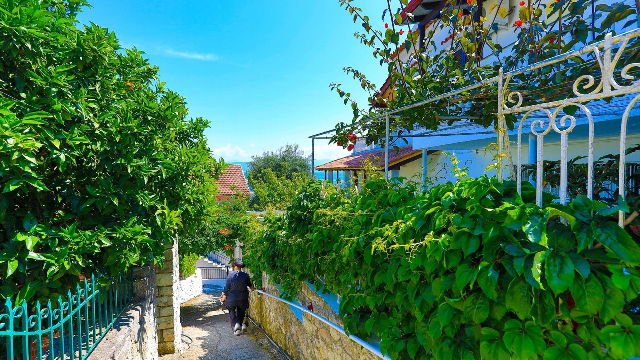Photo of Others in Gaios