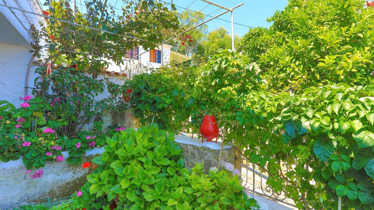 Photo of Outdoor in Gaios