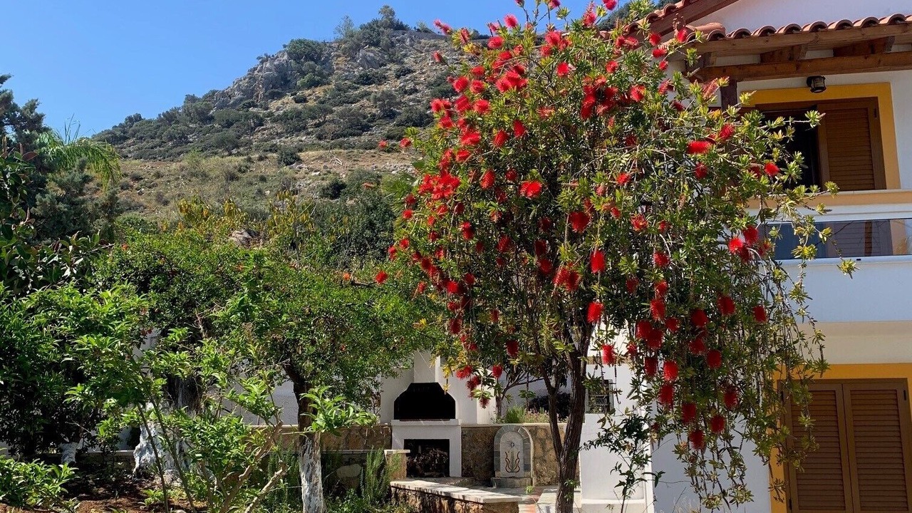 Photo of Outdoor in Malia