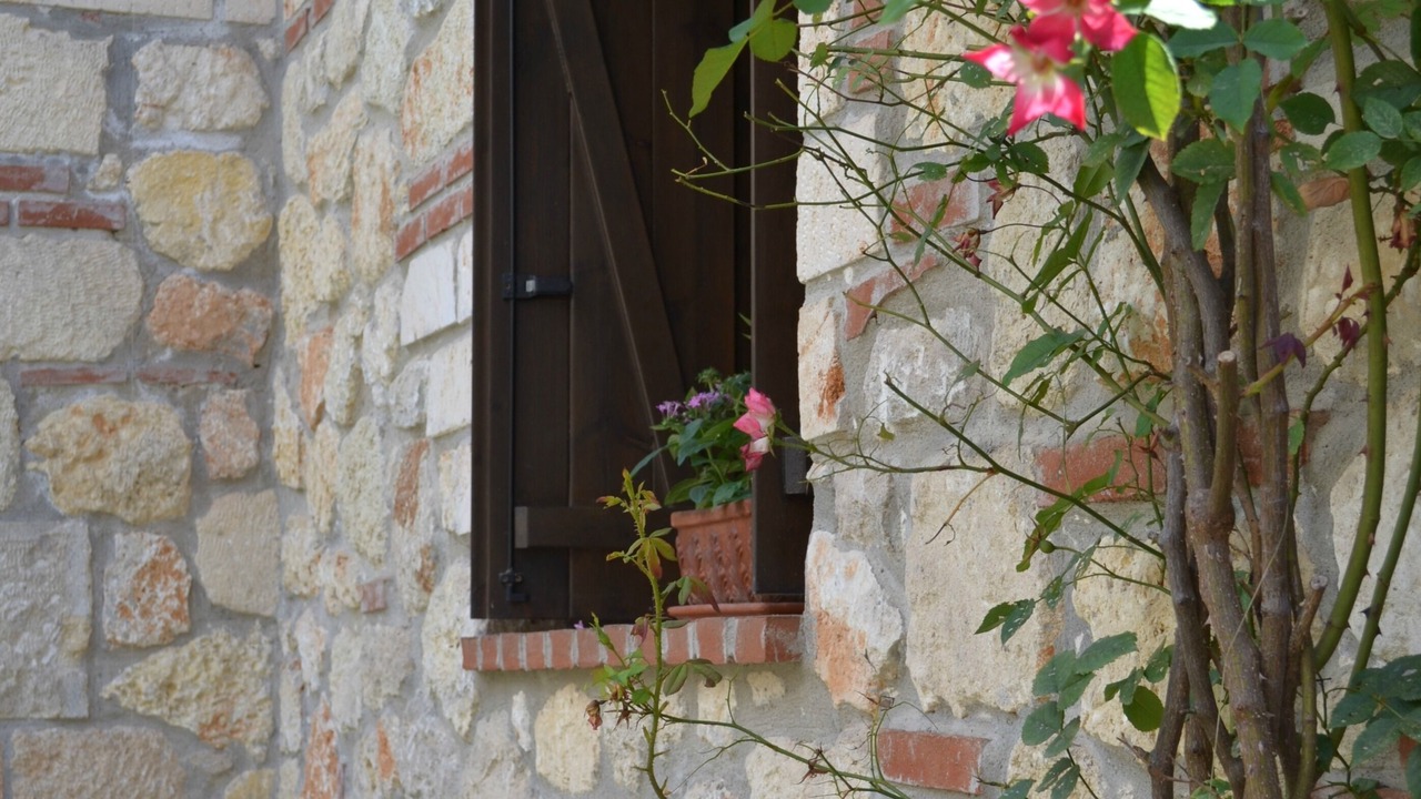 Photo of Outdoor in Psakoudia