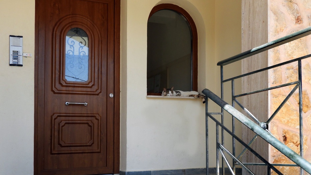 Photo of Others in Dio-Olympos