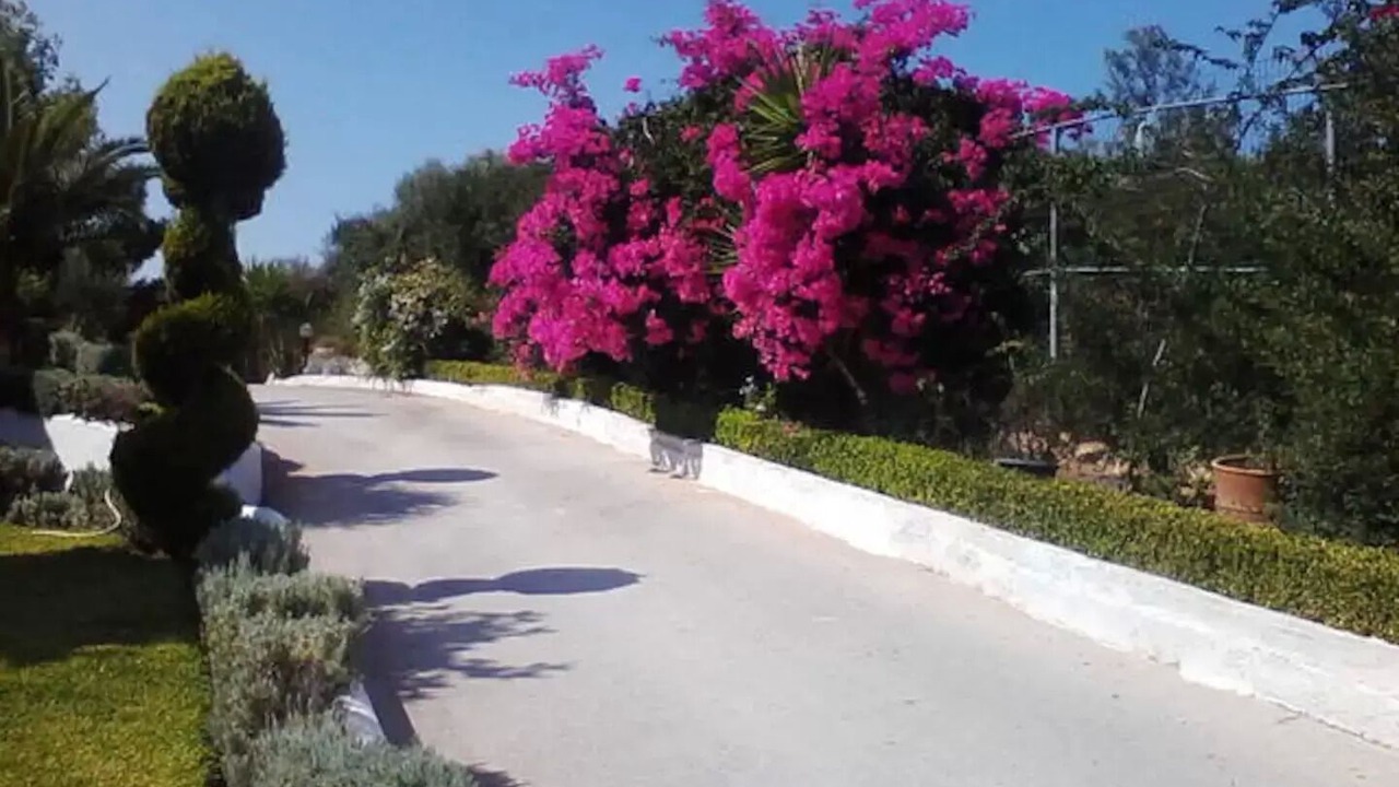 Photo of Outdoor in Isthmia