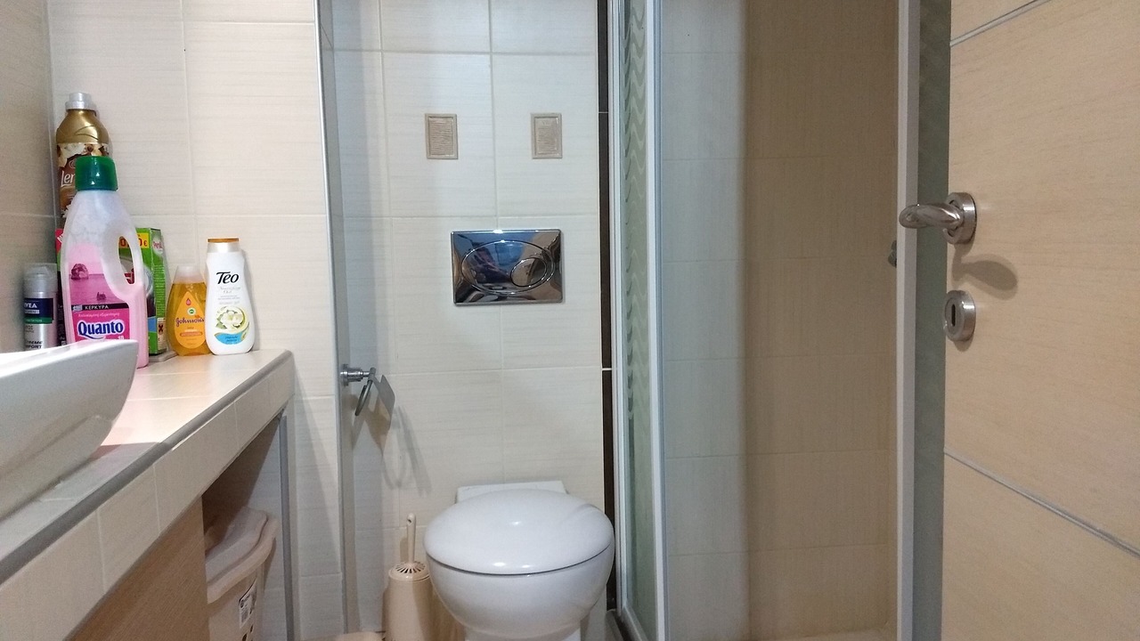 Photo of Bathroom in Haniotis