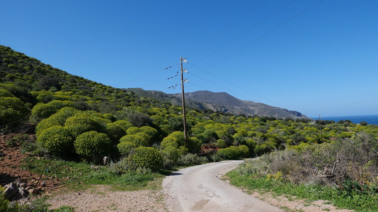 Photo of Outdoor in Kefalas