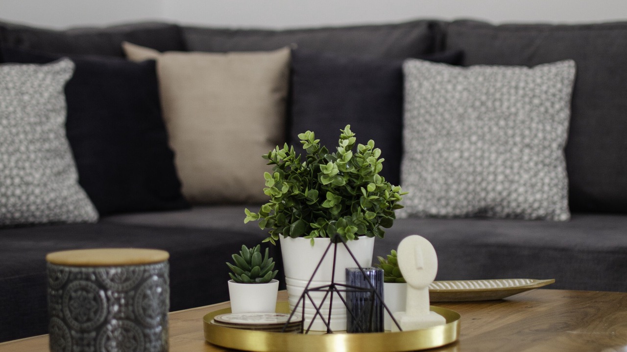 Photo of Livingroom in Ios