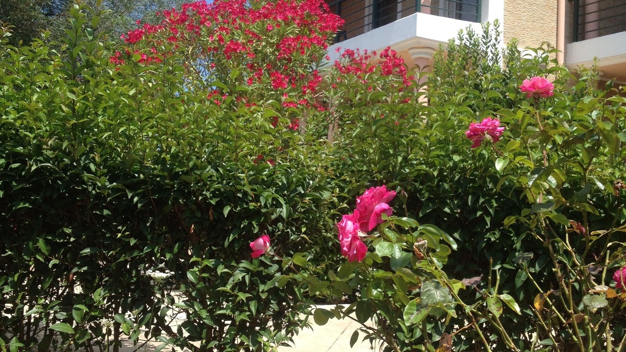 Photo of Outdoor in Loucha