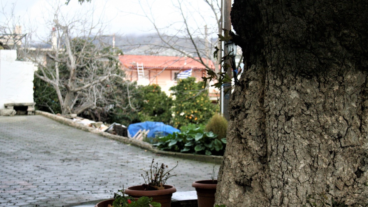 Photo of Outdoor in Apomarma