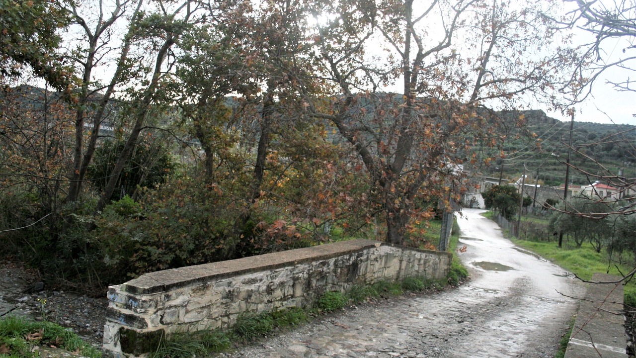 Photo of Outdoor in Apomarma