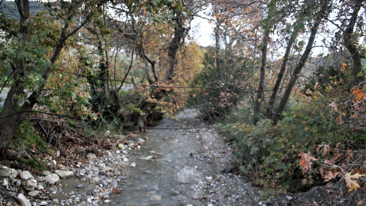Photo of Outdoor in Apomarma