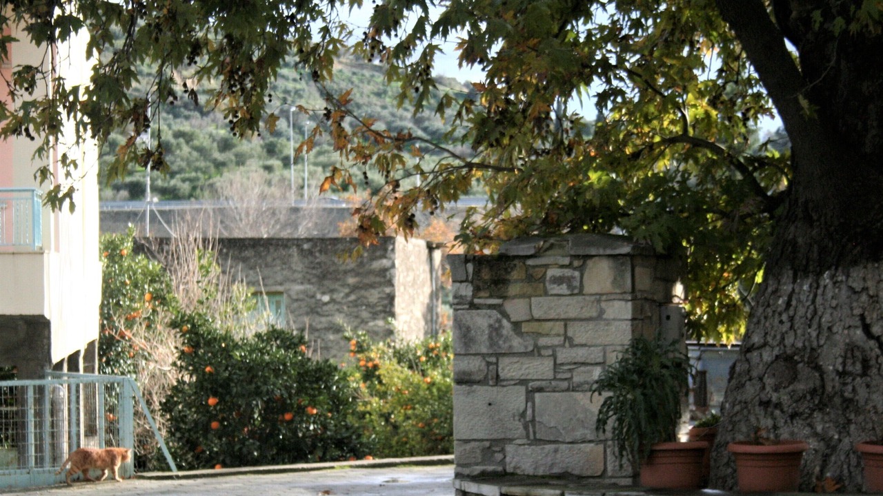 Photo of Outdoor in Apomarma