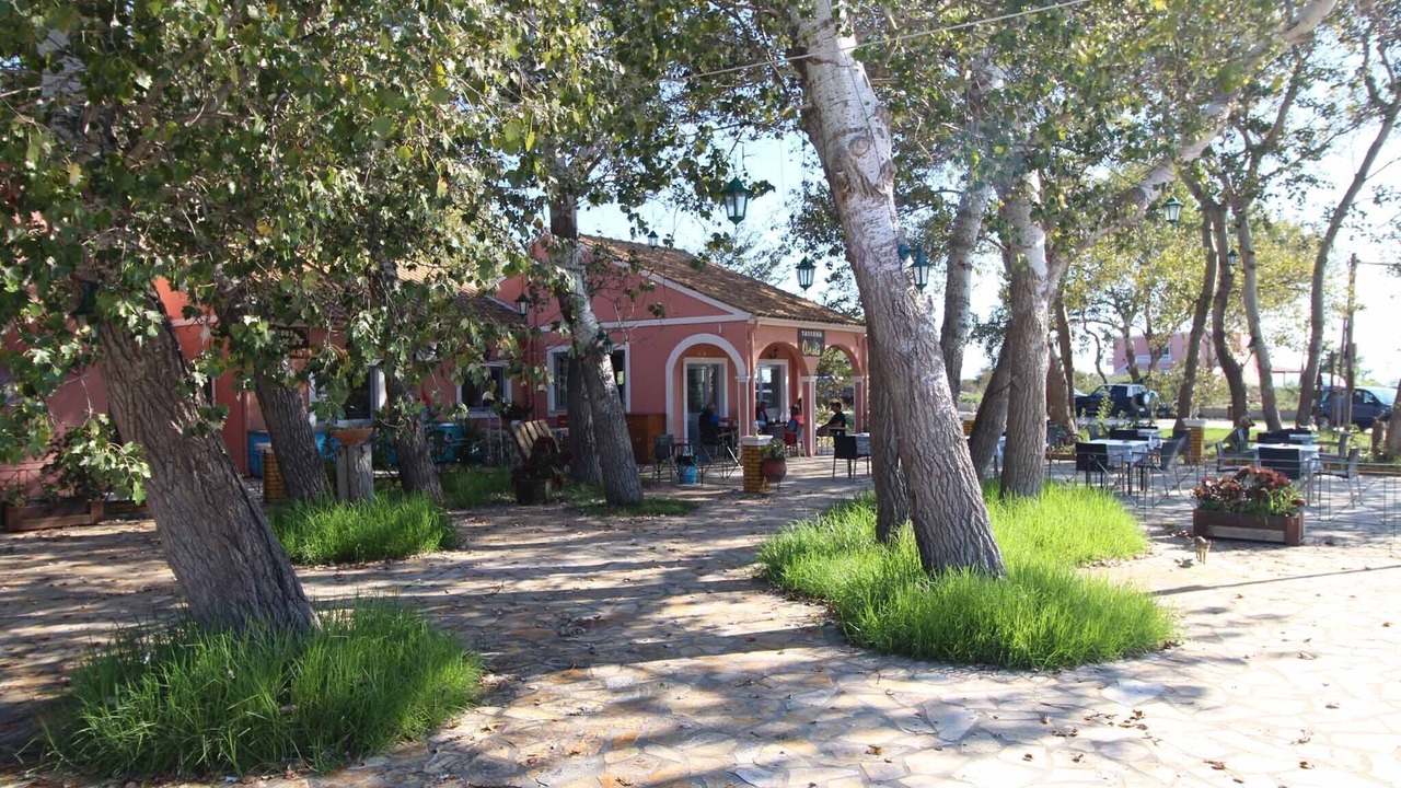 Photo of Others in Erikousa Island