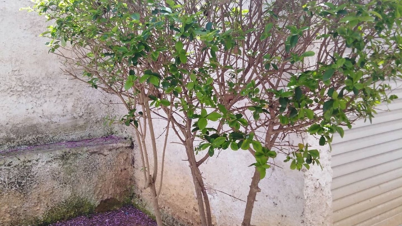 Photo of Outdoor in Galatsi