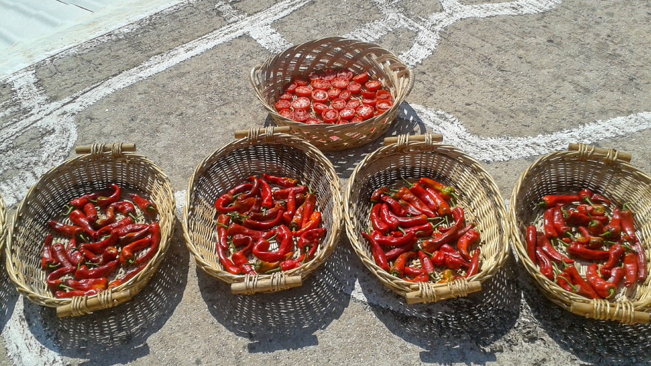 Photo of Others in Petaleia