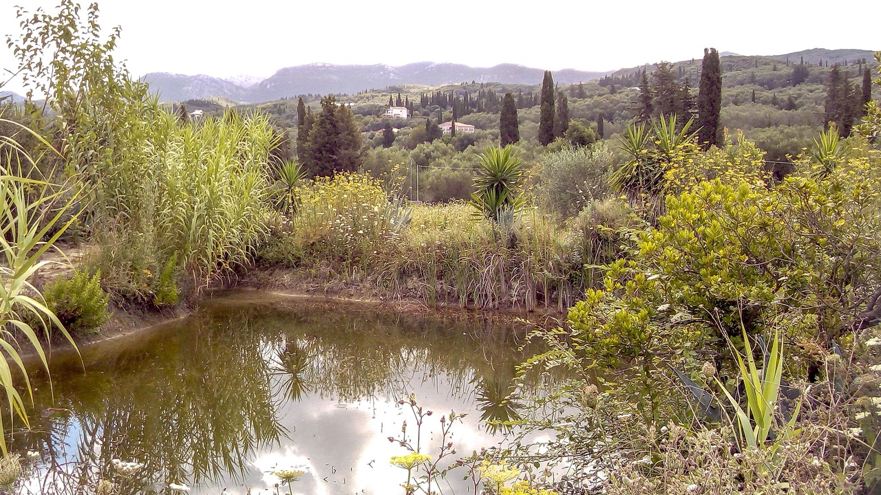 Photo of Outdoor in Petaleia