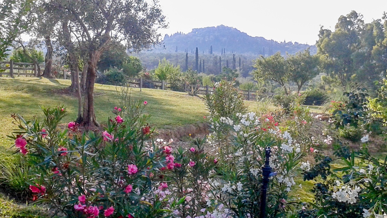 Photo of Outdoor in Petaleia