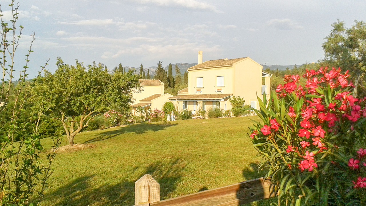 Photo of Outdoor in Petaleia