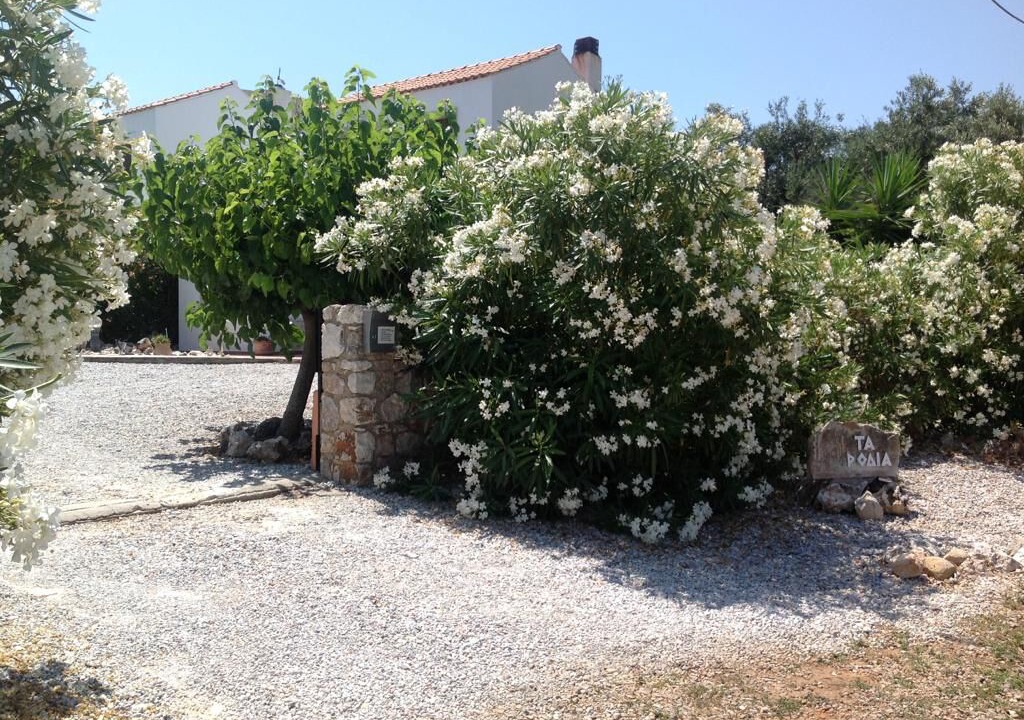 Photo of Others in Drapanos