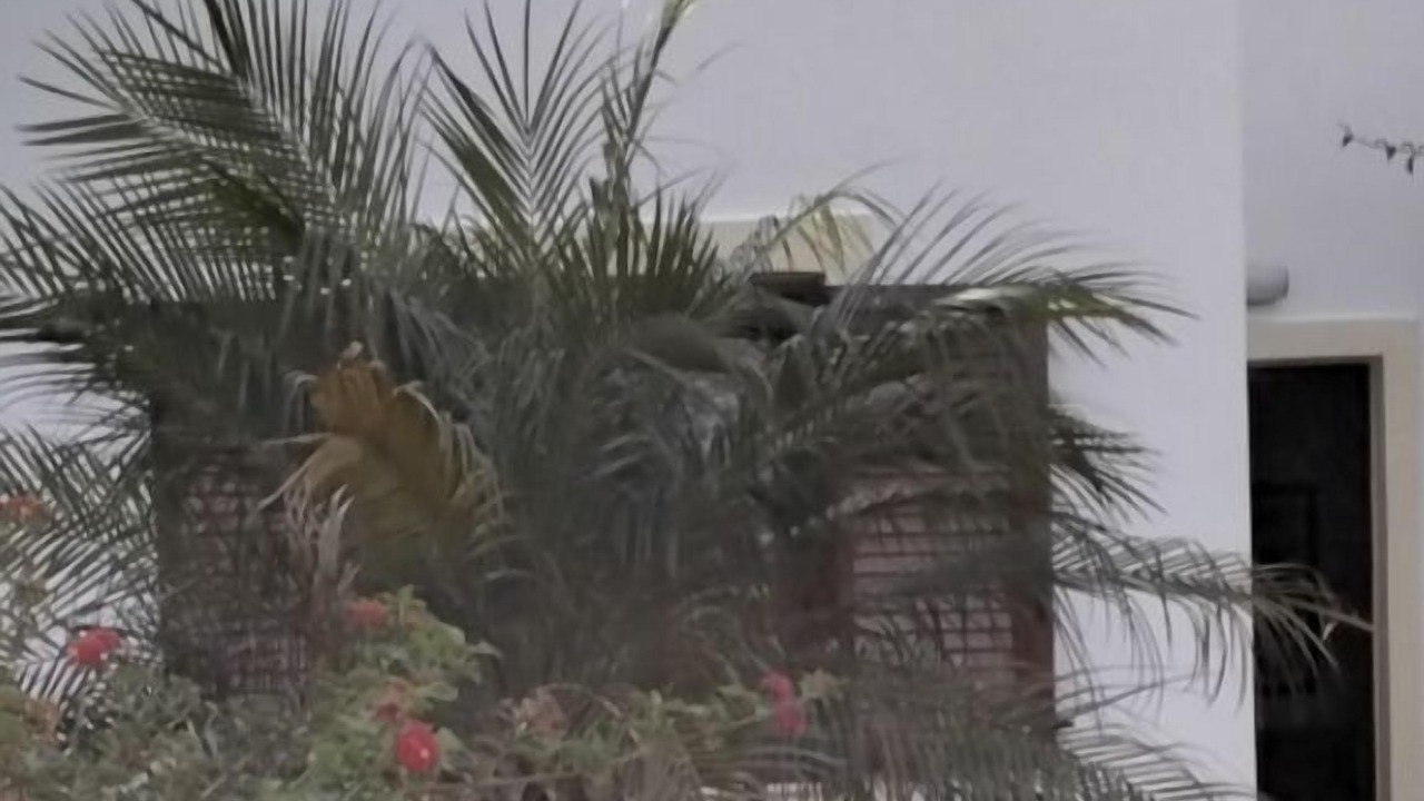 Photo of Outdoor in Drapanos