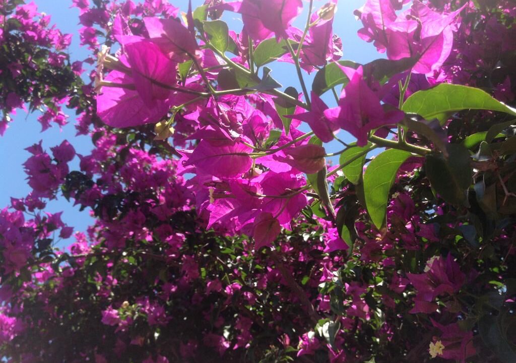 Photo of Outdoor in Drapanos