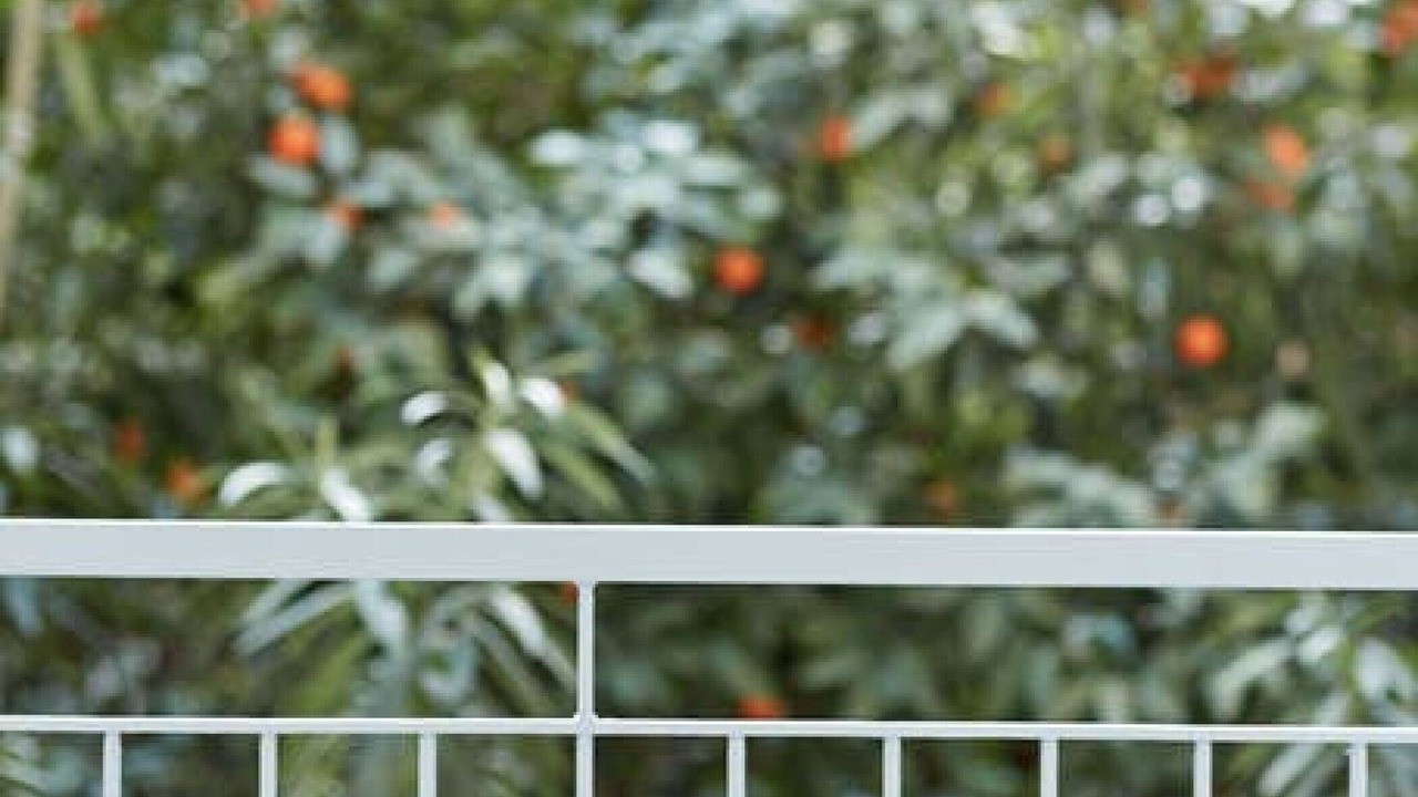 Photo of Patio Balcony in Ilisia