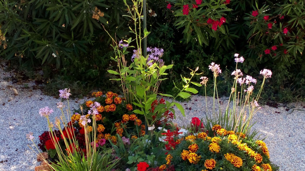 Photo of Outdoor in Milia