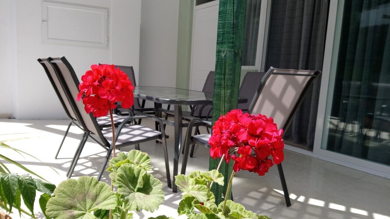 Photo of Outdoor in Kardamena