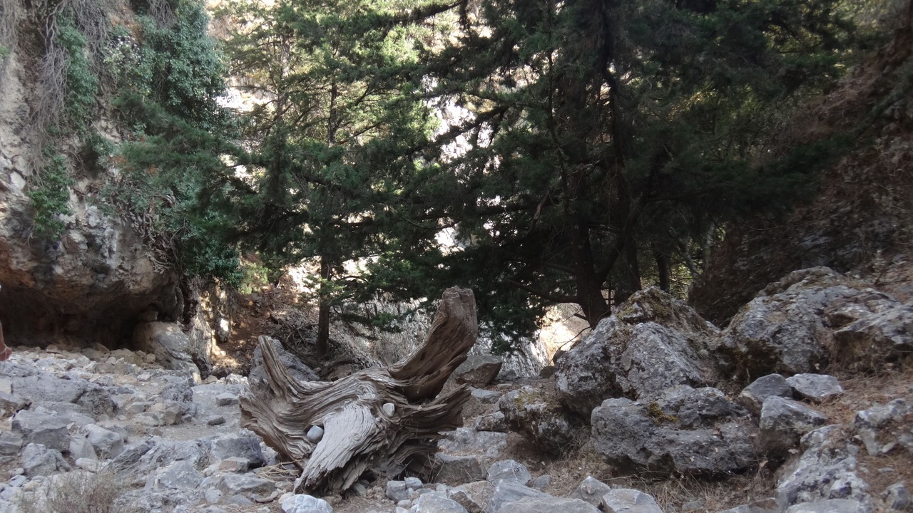 Photo of Outdoor in Patsianos