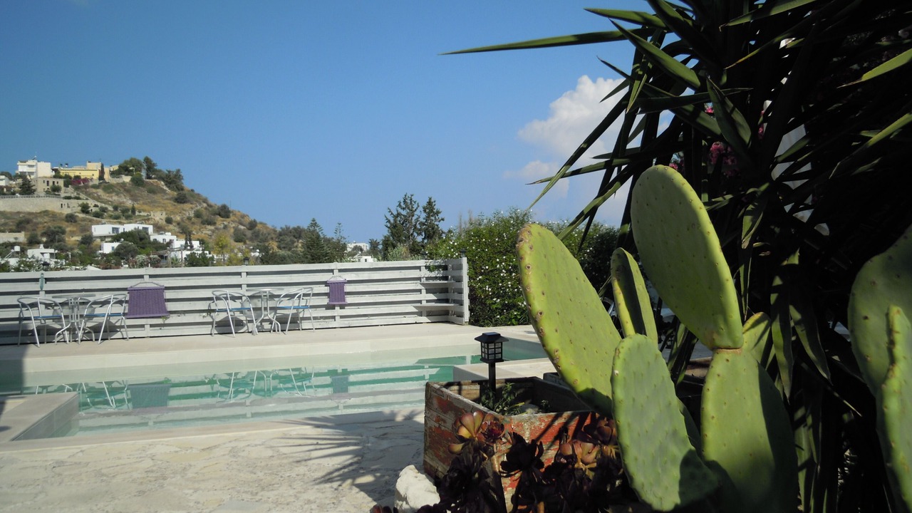Photo of Outdoor in Kamilari