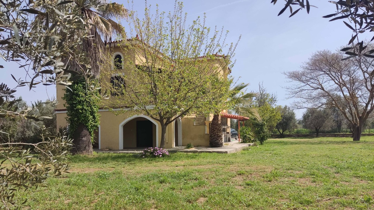 Photo of Outdoor in Chalcis