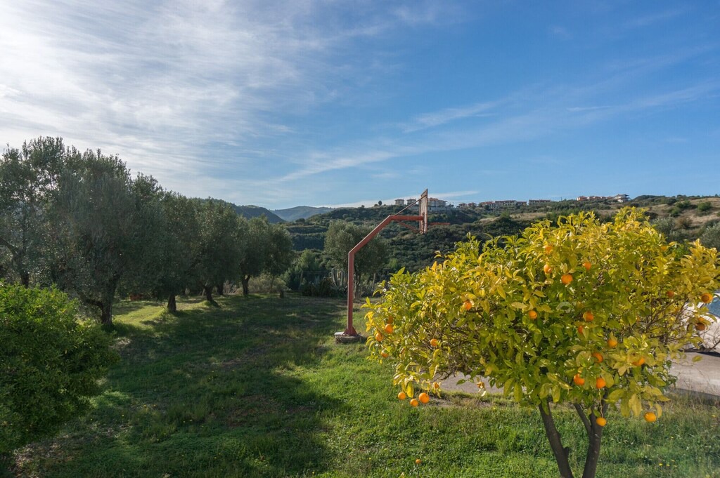Photo of Outdoor in Pallini
