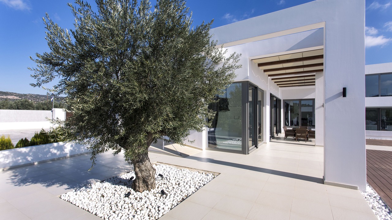 Photo of Outdoor in Pigadia
