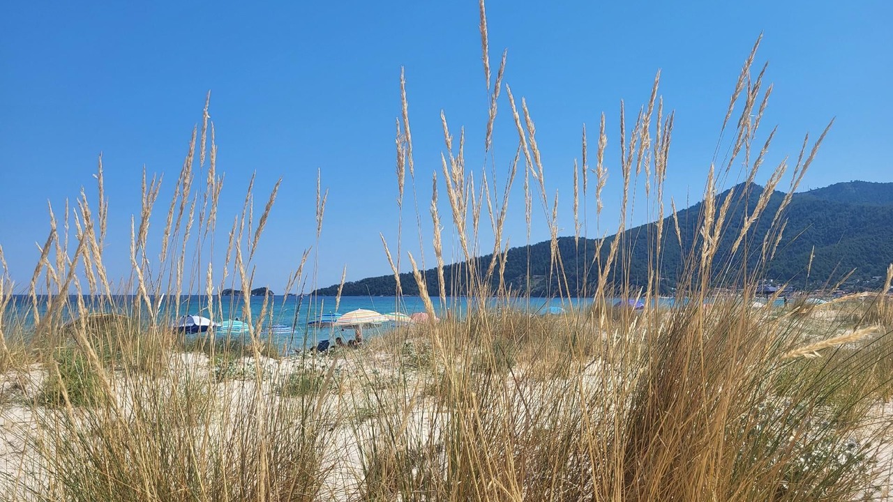 Photo of Others in Skala Potamias