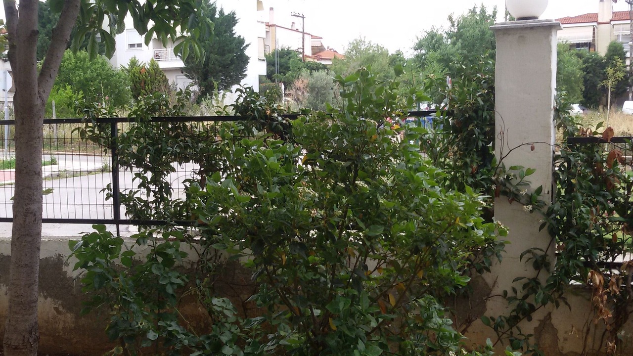 Photo of Outdoor in Pefka