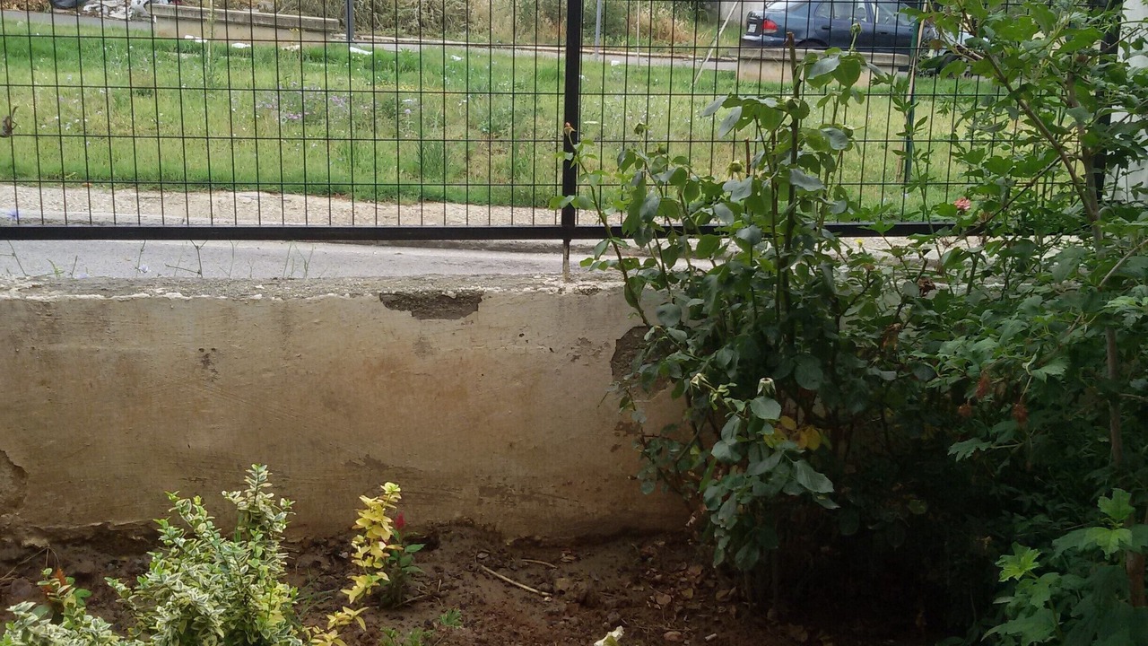 Photo of Outdoor in Pefka