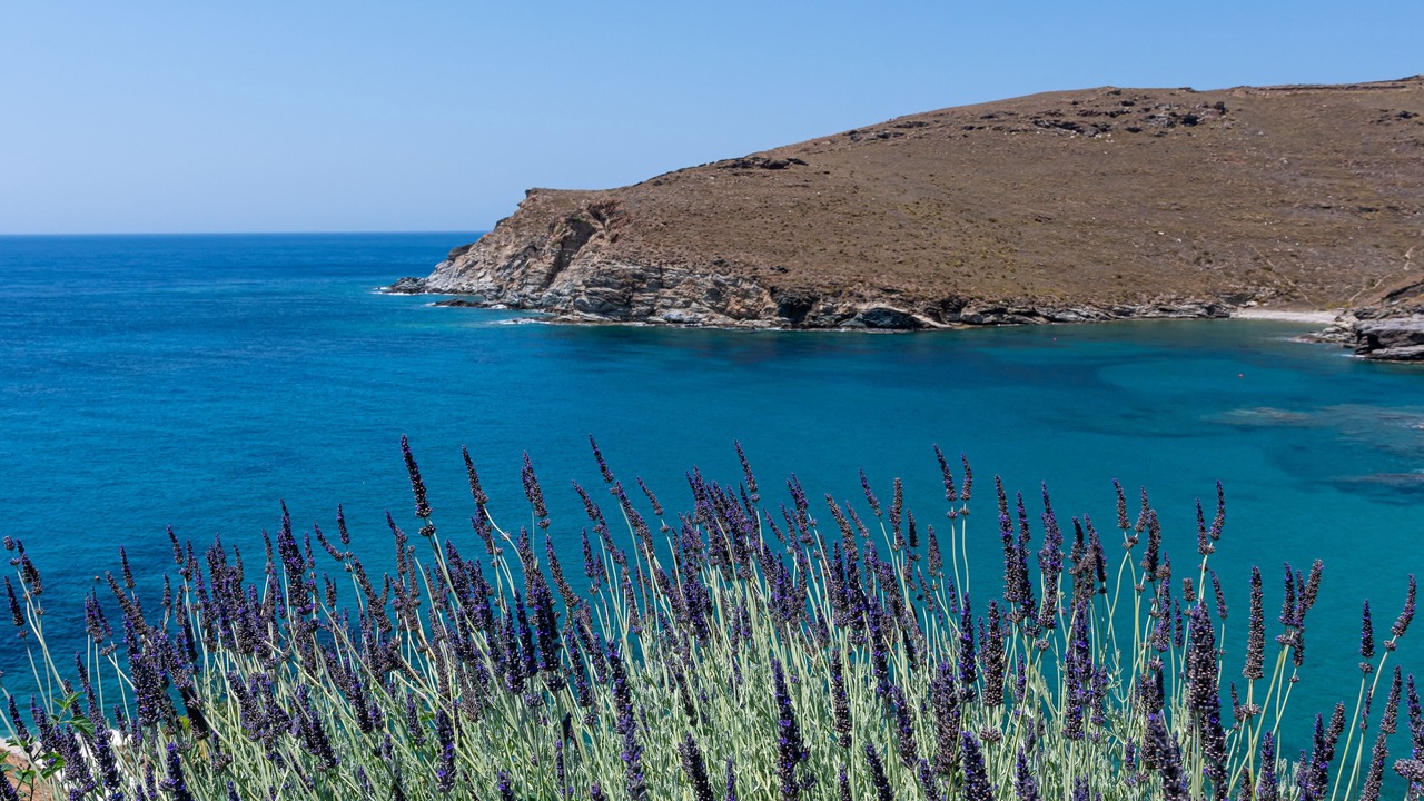 Photo of Others in Syros