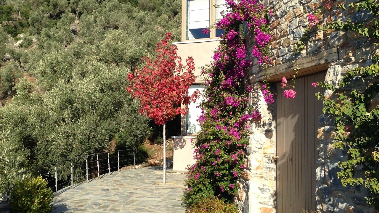 Photo of Outdoor in South Pelion