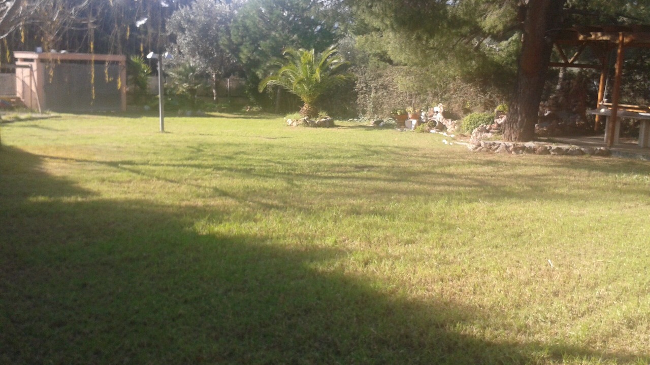 Photo of Outdoor in Nea Makri