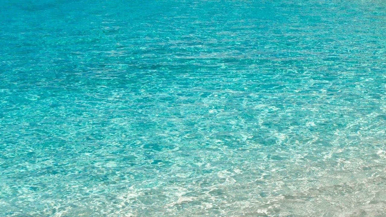 Photo of Others in Paliouri