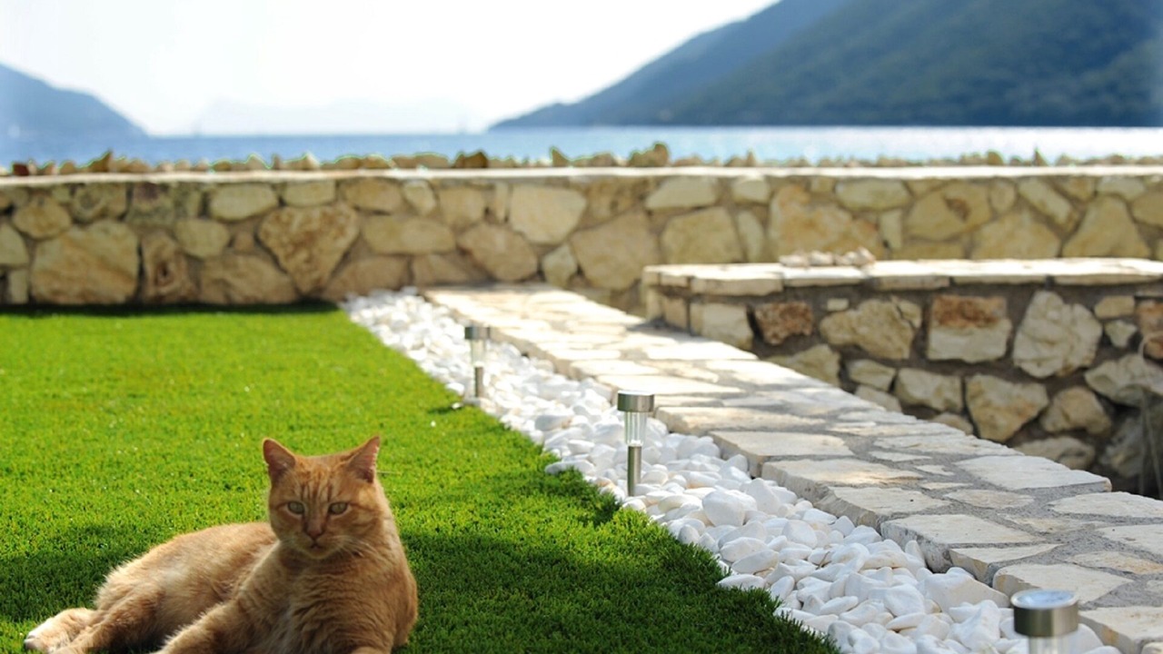 Photo of Outdoor in Katokhorion