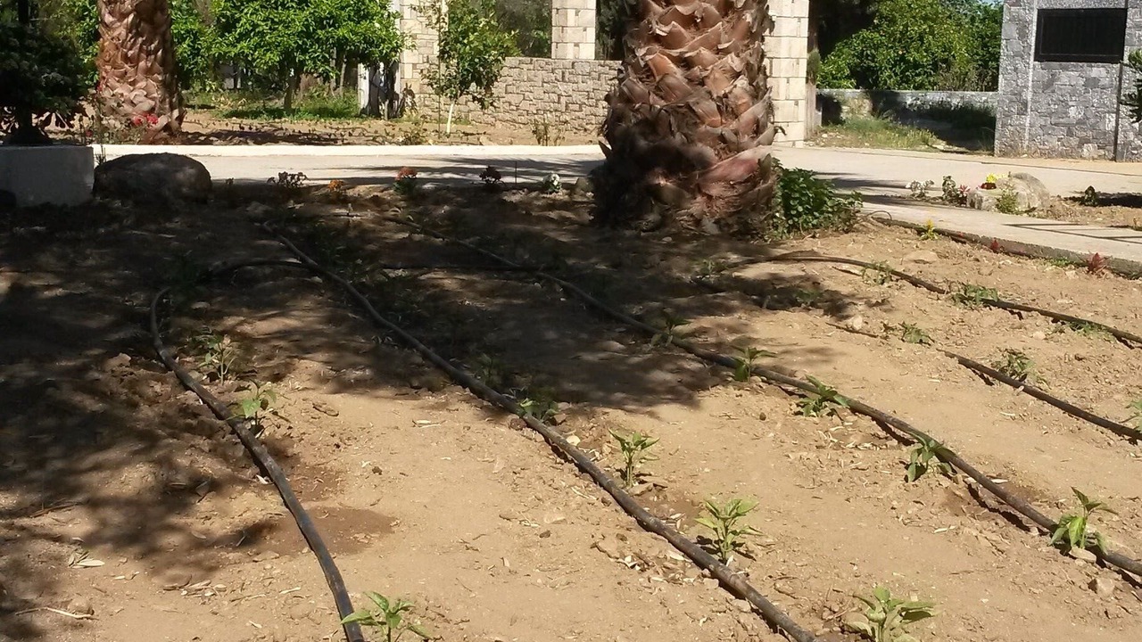 Photo of Outdoor in Kerveli