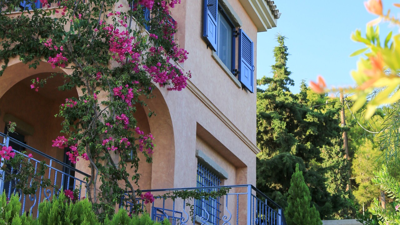 Photo of Outdoor in Agios Emilianos