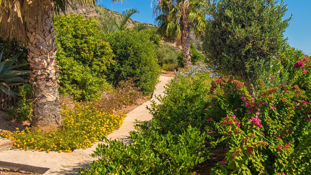 Photo of Outdoor in Elounda