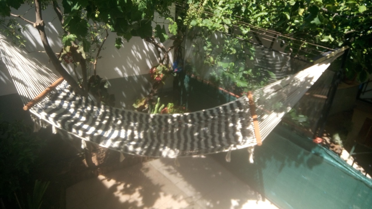 Photo of Outdoor in Nea Makri