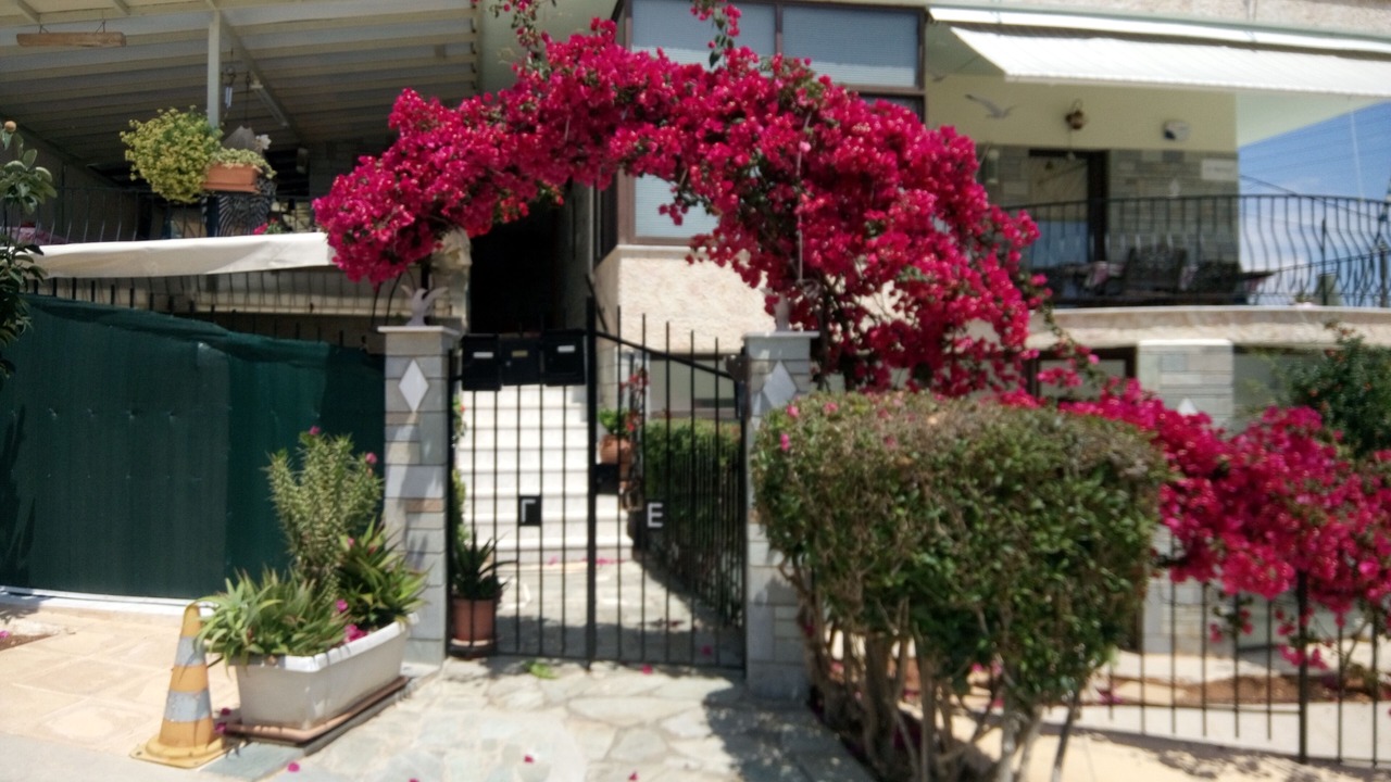 Photo of Outdoor in Nea Makri