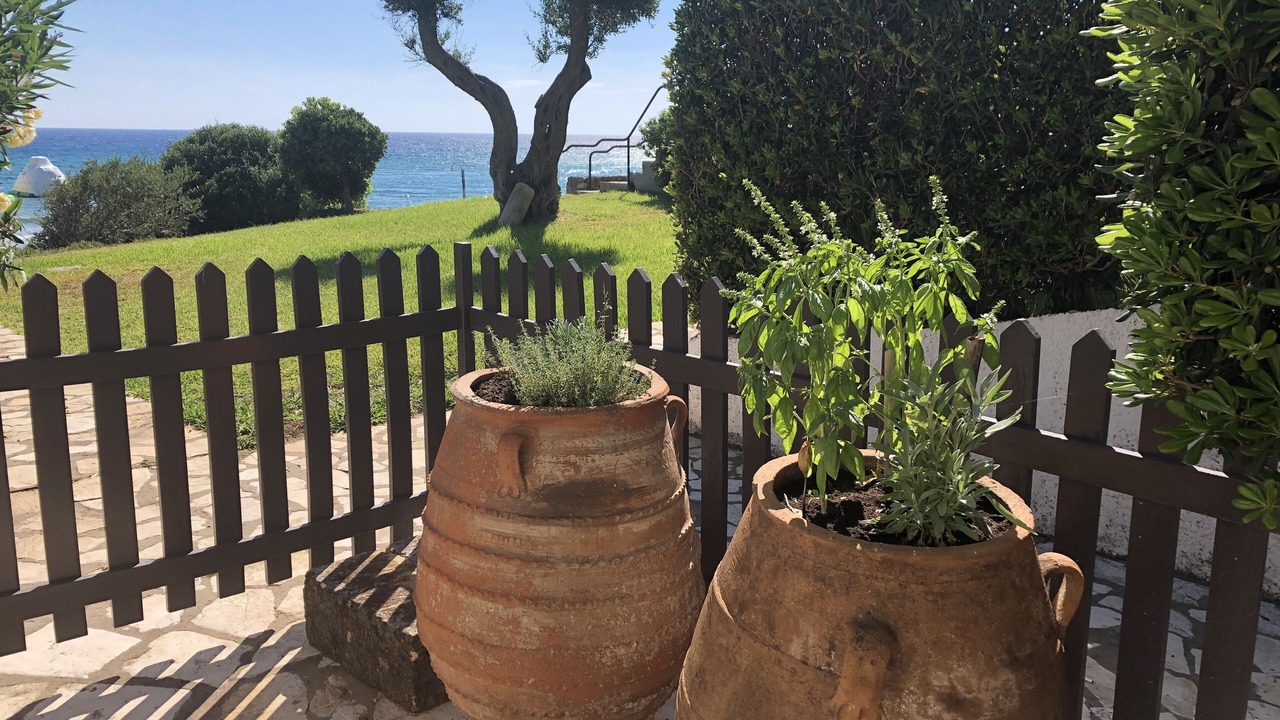 Photo of Outdoor in Parelia