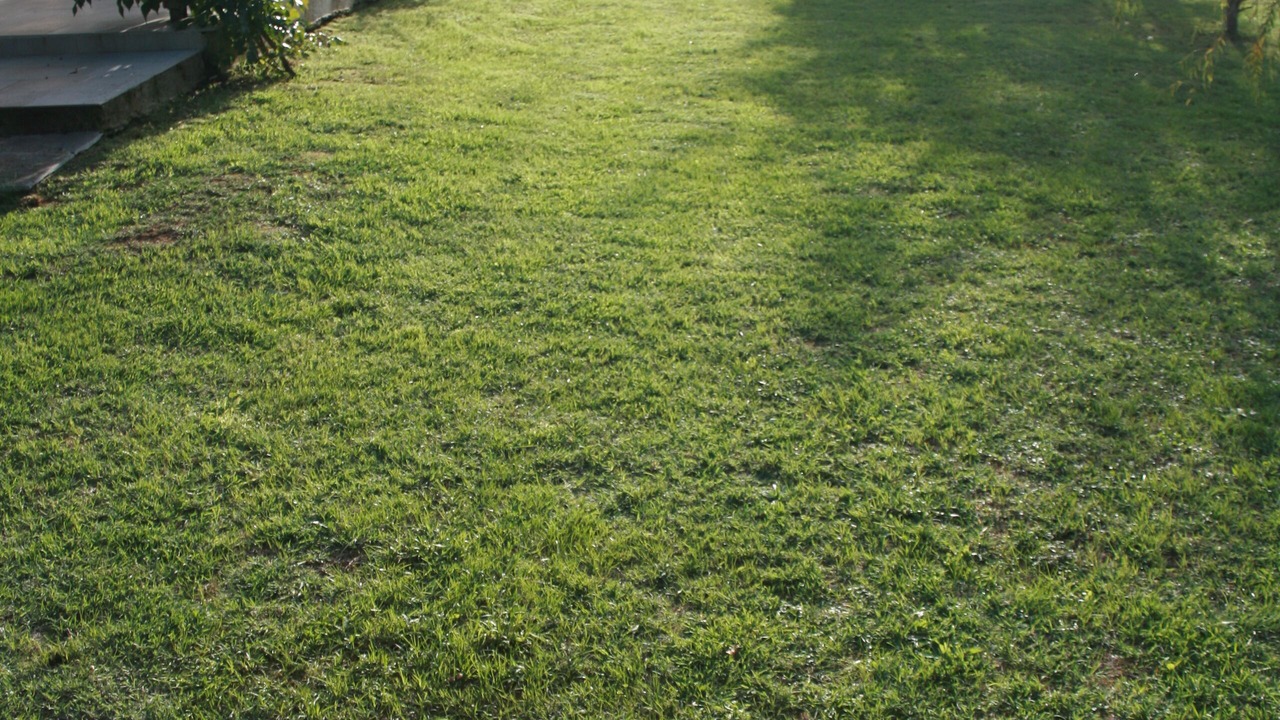 Photo of Outdoor in Ano Korakiana