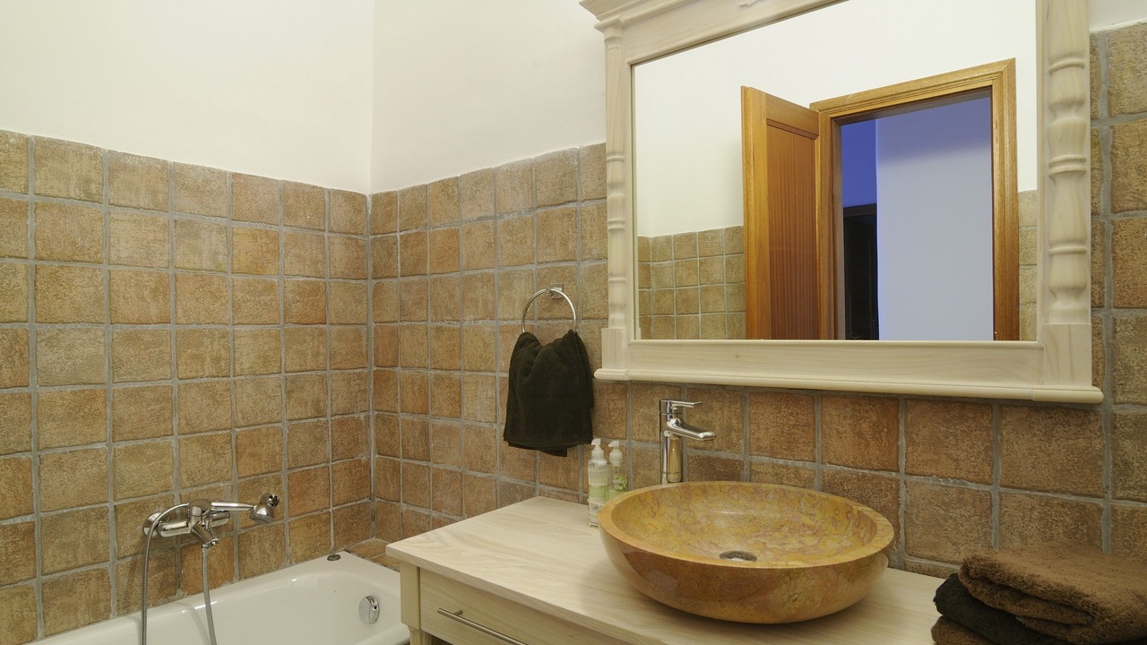 Photo of Bathroom in Andros